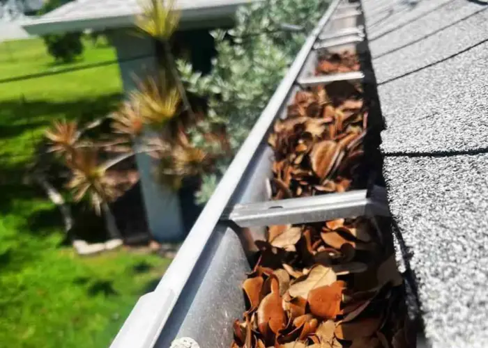 Alpine gutter cleaning home page